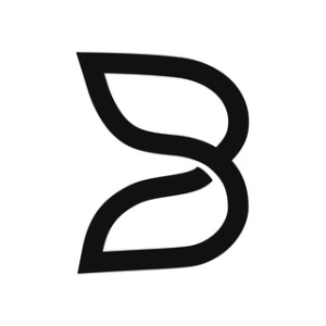 B.AI